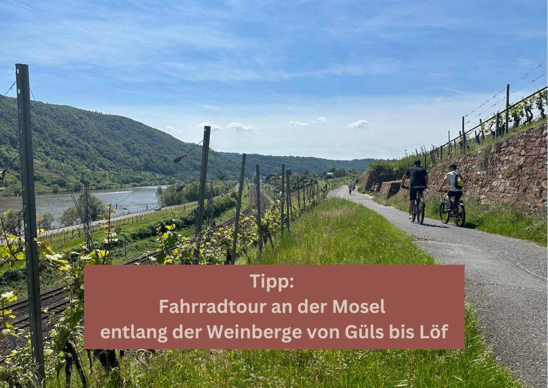 Apartment New York - Fuer Freunde & Familien, Stadtnah, Parkplatz, E-ladestation, Gitterbox Fuer Fahrraeder, Fitnessstudio, Digitale Gaestemappe Mit Restaurant- Und Unternehmenstipps